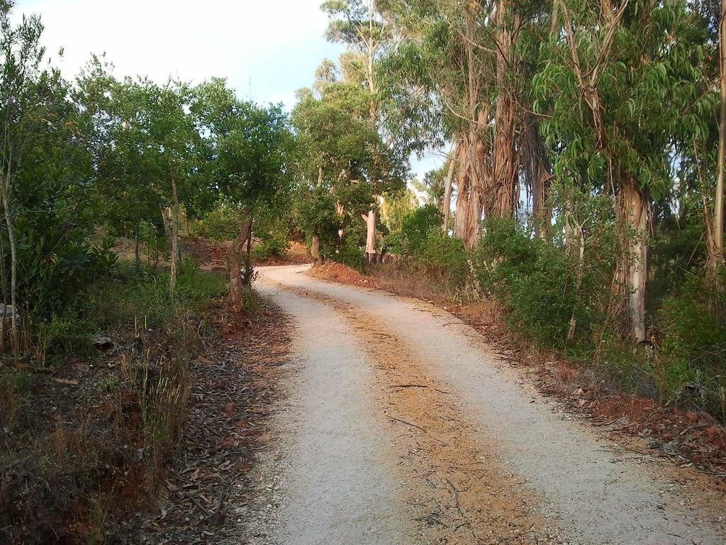 Herdade Quinta Natura Alojamento de Acomodação e Pequeno-almoço Aljezur