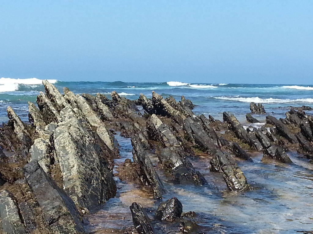 Alojamento de Acomodação e Pequeno-almoço Herdade Quinta Natura *