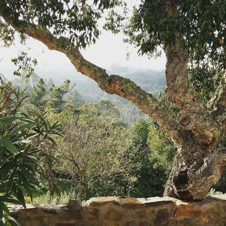 Alojamento de Acomodação e Pequeno-almoço Herdade Quinta Natura